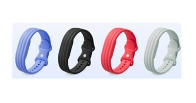Google Fitbit Air hits shelves in India on 2 October Google-Fitbit-Air